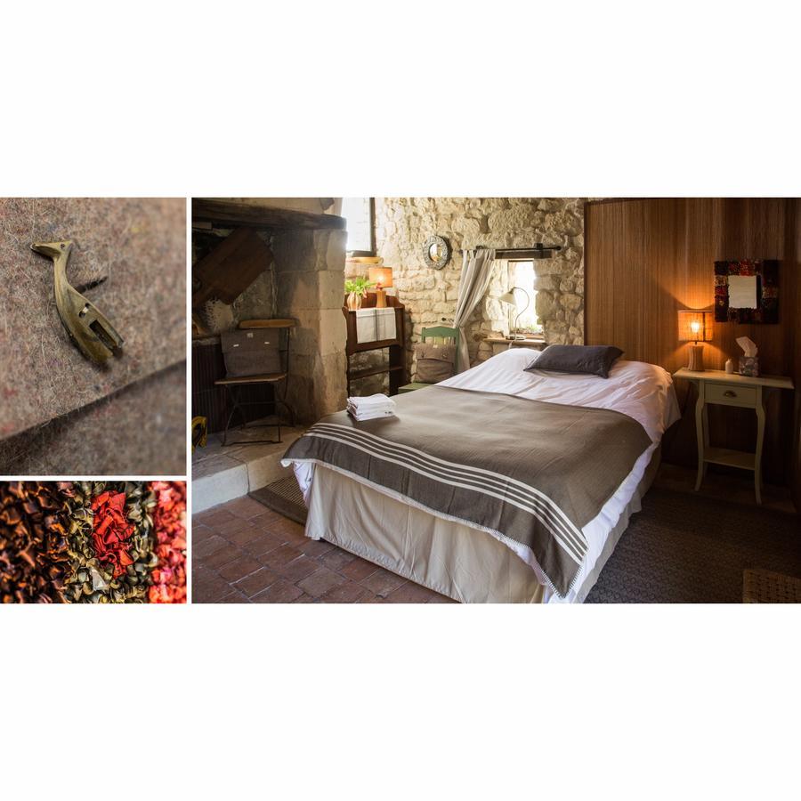 La Grande Maison D'Arthenay Bed & Breakfast Saumur Exterior photo